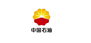 中國(guó)石油公司廢水處理工程案例